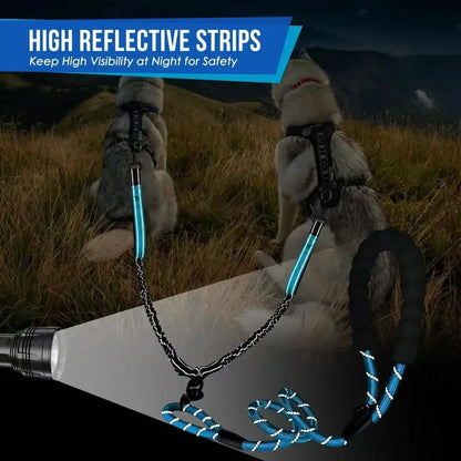 Dual Dog Leash 360° Swivel Shock-Absorbing Traffic Handles