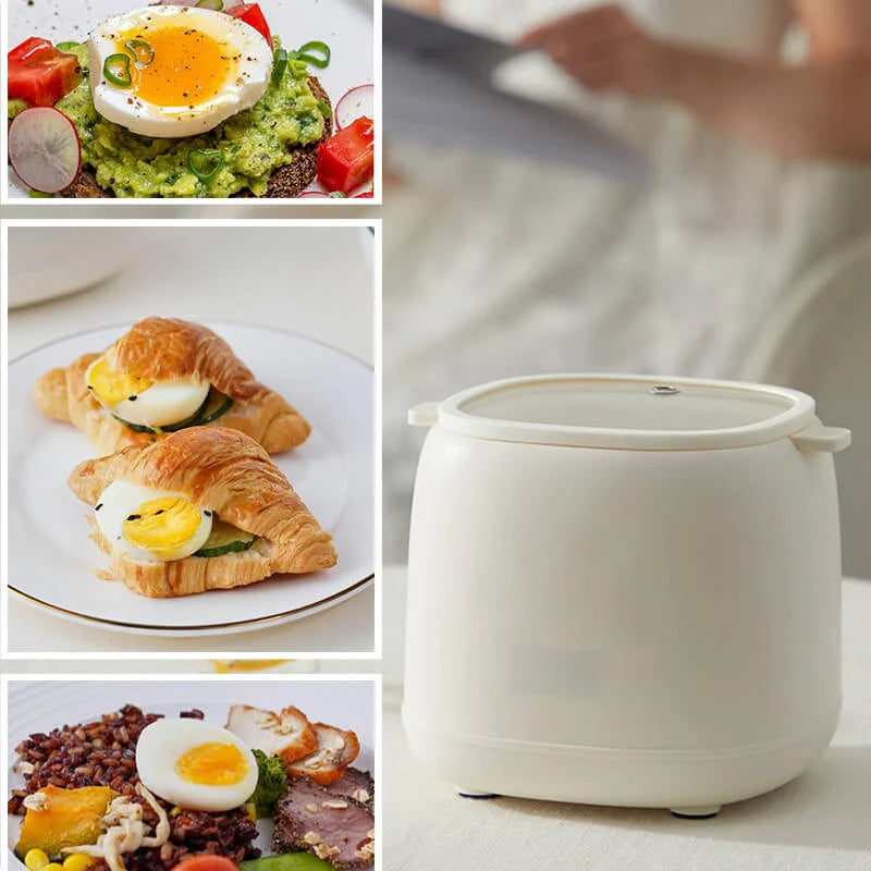 Egg Cooker Adjustable Cooking Levels 4-Egg Capacity & Auto Shut-Off