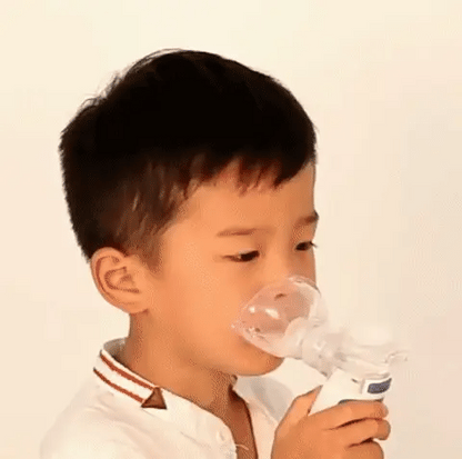 Nebulizer Portable Ultrasonic Handheld Adult & Child Masks