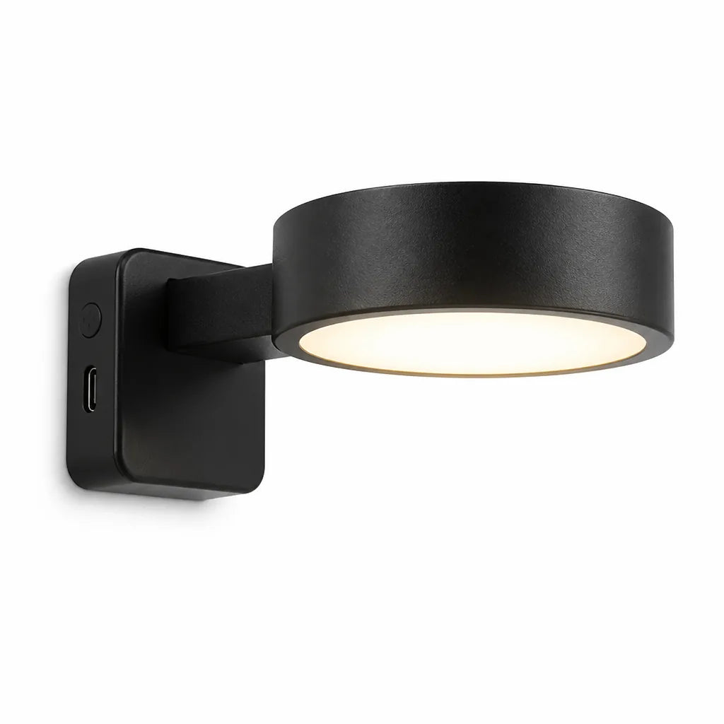 Picture Light Cordless Dimmable Remote USB Rechargeable